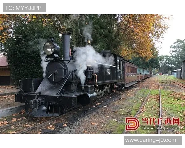 莫火车与柯山红的对决：传统与现代的碰撞与融合之旅